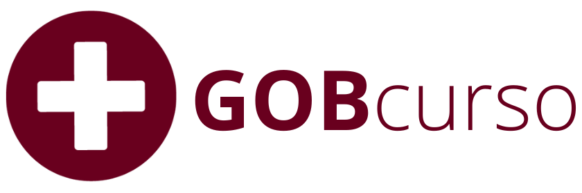 logo-gobcurso-colorida-1.png